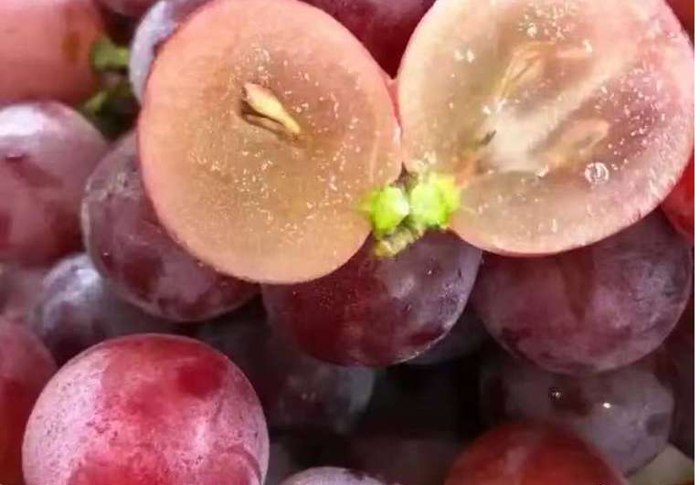 成都水果批发全城配送|专注酒店、自助餐、食堂、单位鲜果供应