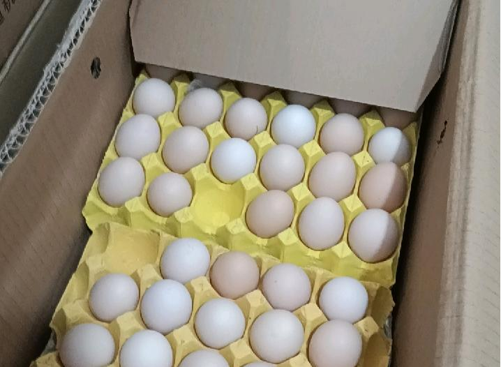 成都昆童禽蛋批发|每日鲜蛋入库 餐饮食堂稳定供货