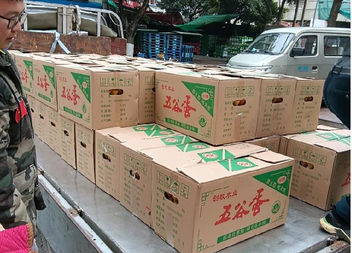 成都昆童禽蛋批发|每日鲜蛋入库 餐饮食堂稳定供货