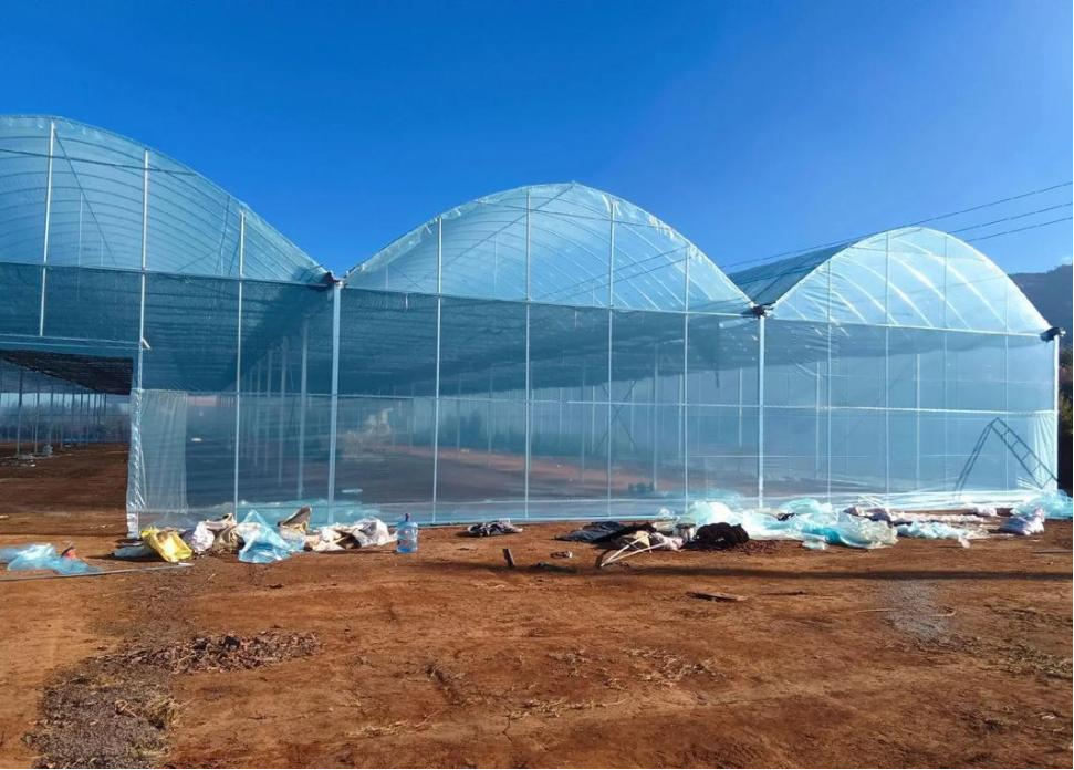 定制各类农业大棚|种植养殖专用 保温抗风雪 全程上门安装