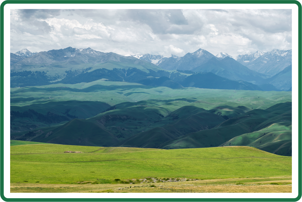 1715238876546677.png 2.四川省雷波县2023年草原有害生物防治项目.png